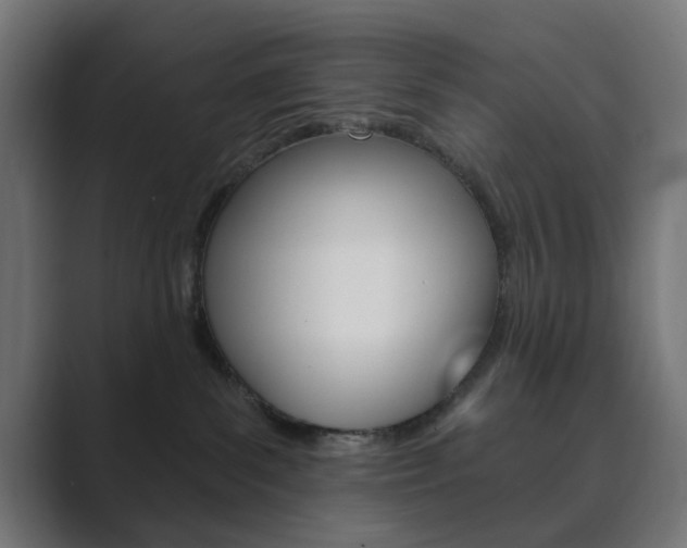 X0000089850139200706281028
