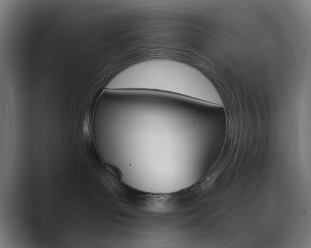 X0000089850143200706281028