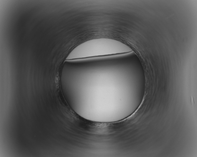 X0000089850144200706281028