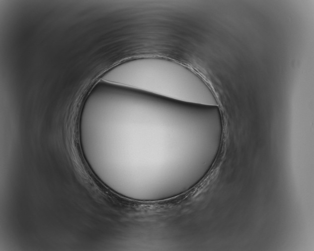 X0000089850145200706281027
