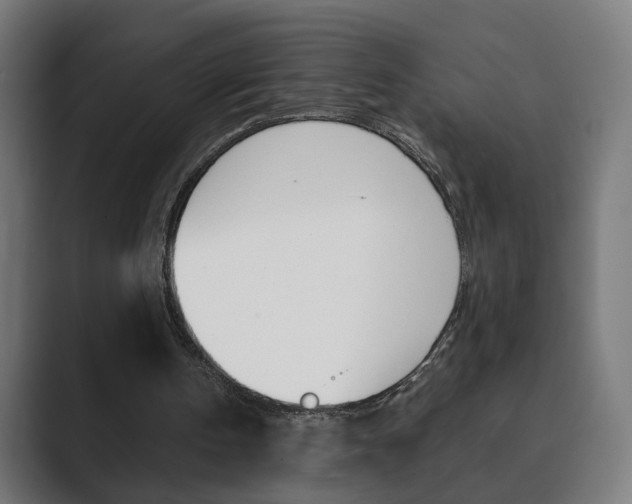X0000089850146200706281027