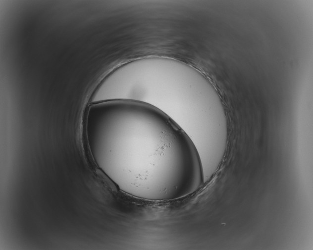 X0000089850148200706281027
