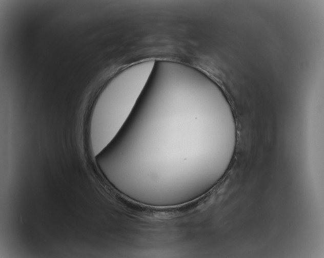 X0000089850149200706281027