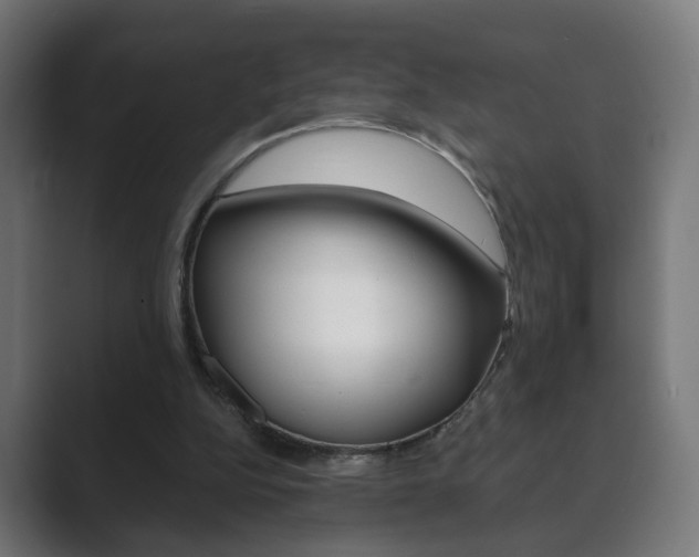 X0000089850152200706281027