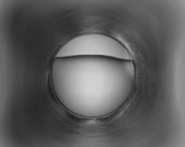 X0000089850153200706281027