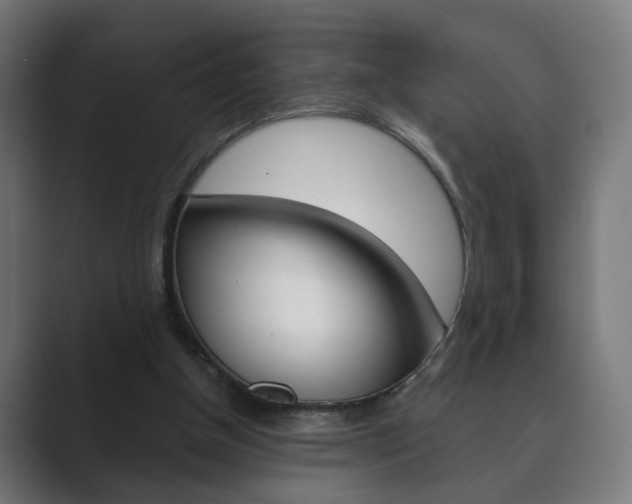 X0000089850154200706281027