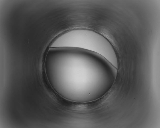 X0000089850156200706281027