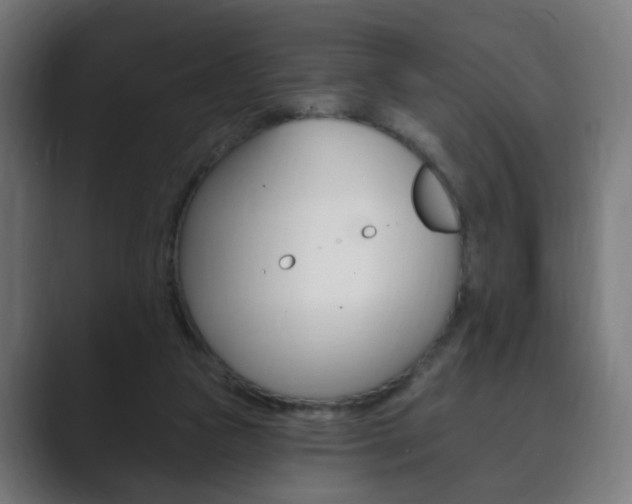 X0000089850161200706281028