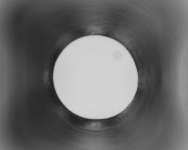 X0000089850162200706281028