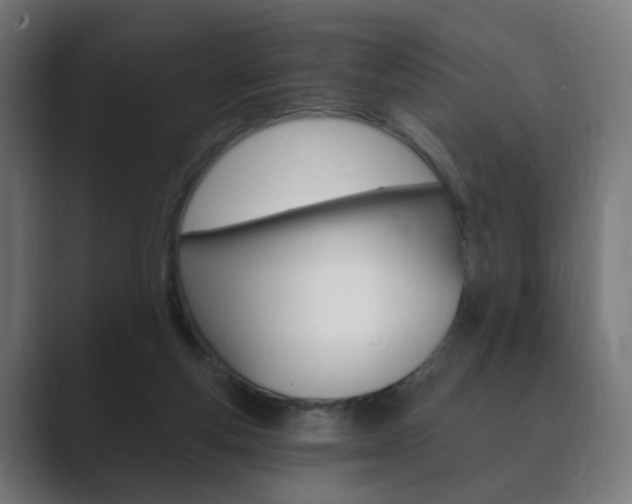 X0000089850163200706281028