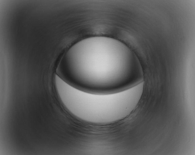 X0000089850164200706281028