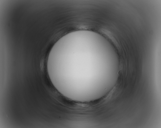 X0000089850167200706281028