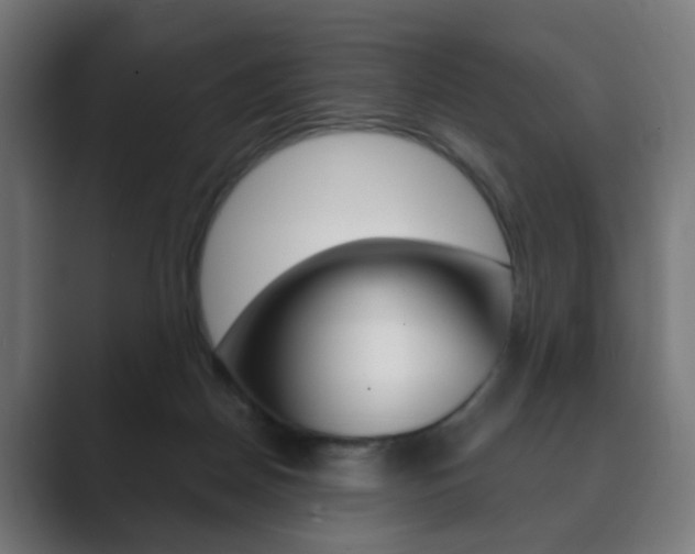 X0000089850170200706281028