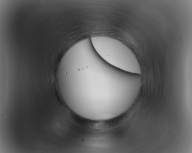 X0000089850173200706281028