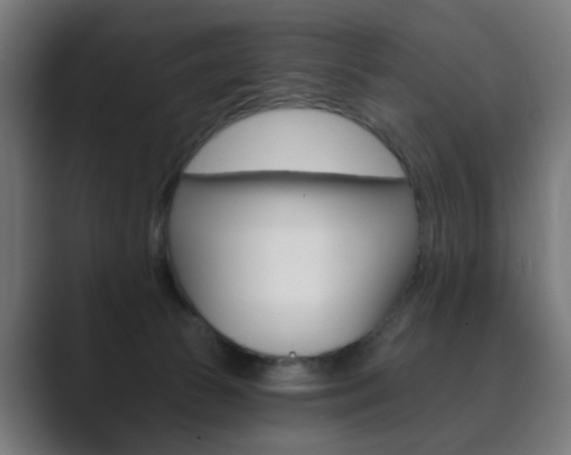 X0000089850177200706281028