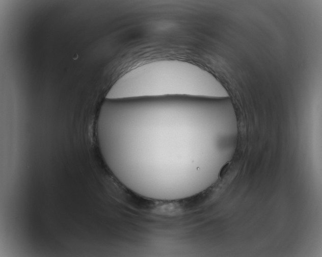 X0000089850185200706281028