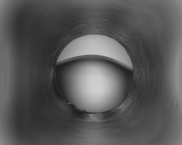 X0000089850188200706281028