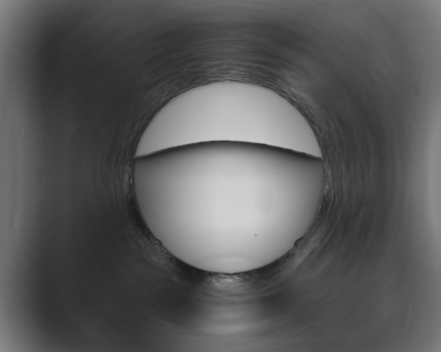 X0000089850189200706281028