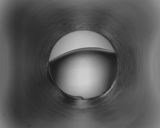 X0000089850192200706281028