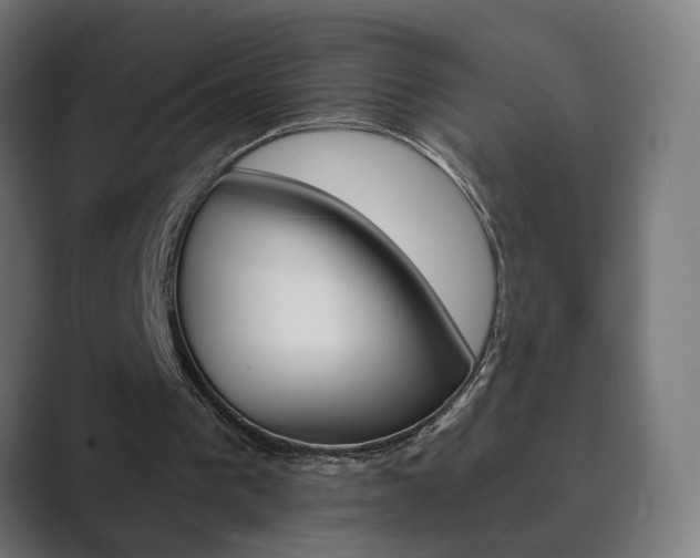 X0000089850193200706281027