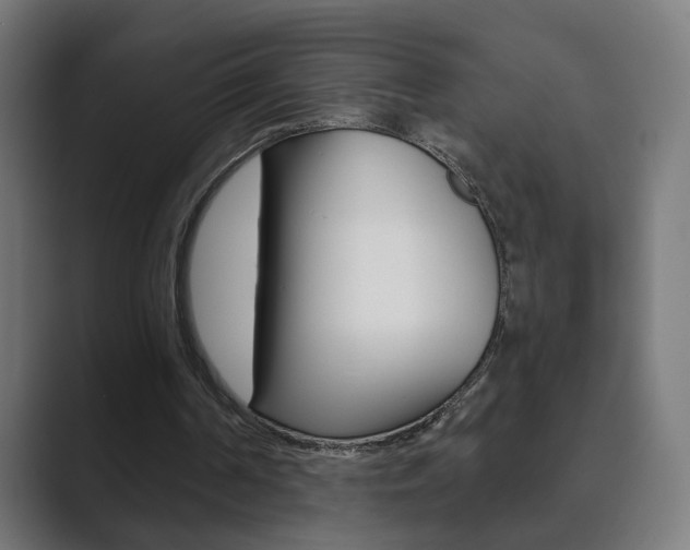 X0000089850194200706281027