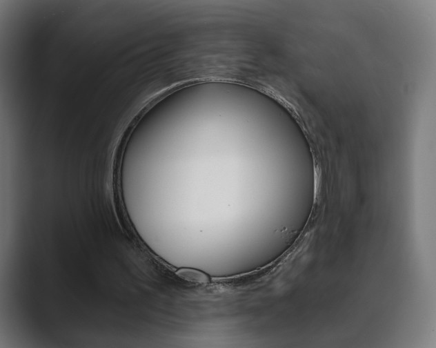 X0000089850195200706281027