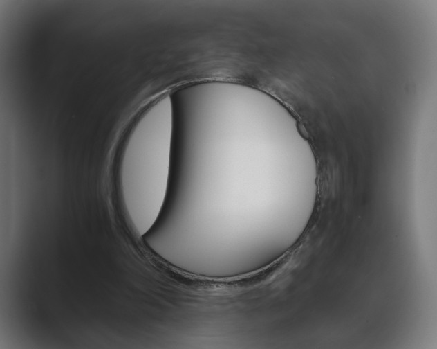 X0000089850198200706281027