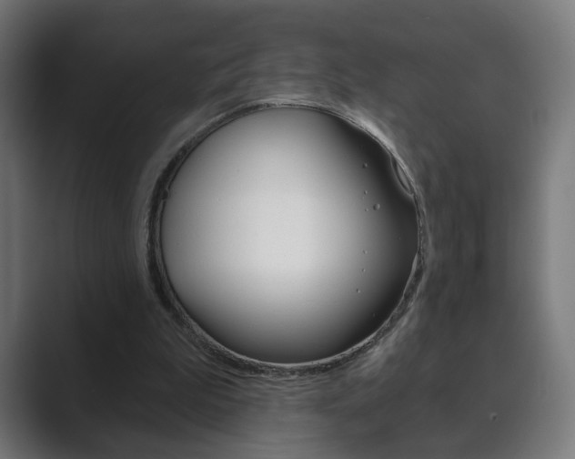 X0000089850199200706281027