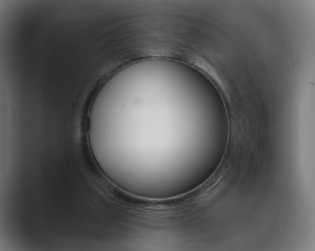 X0000089850203200706281027