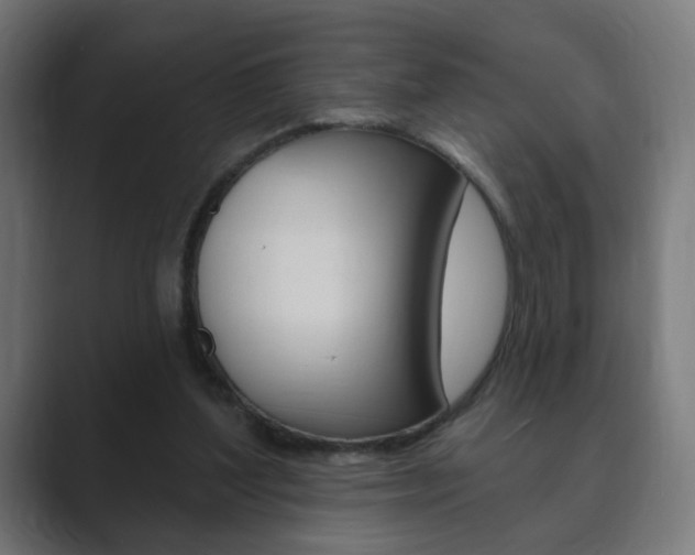 X0000089850204200706281027