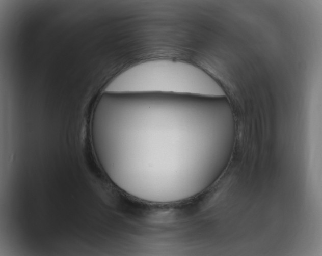 X0000089850206200706281027