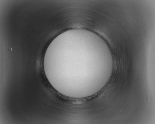 X0000089850208200706281027