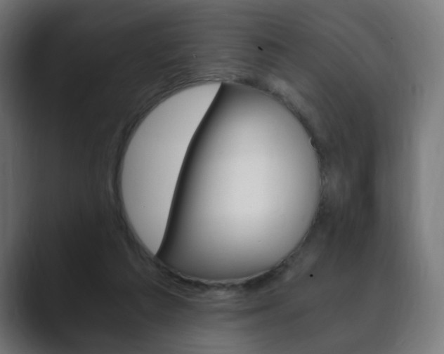 X0000089850209200706281027