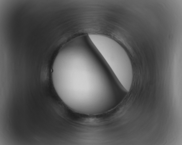 X0000089850212200706281027