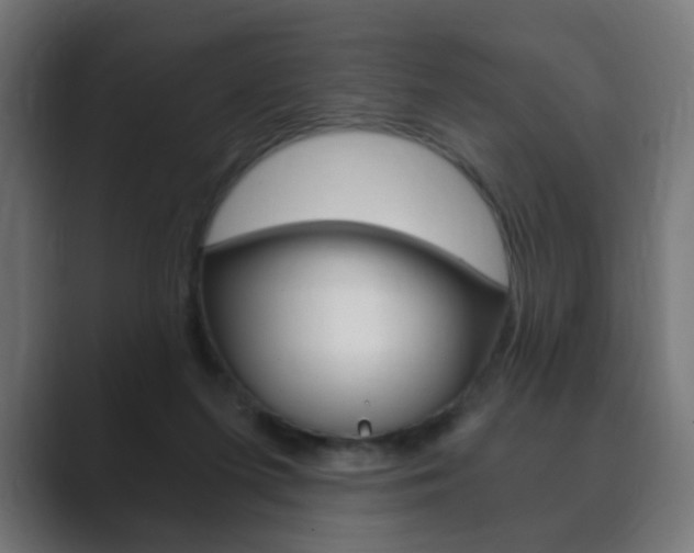 X0000089850215200706281027