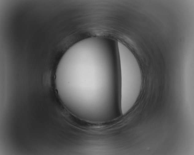 X0000089850217200706281027