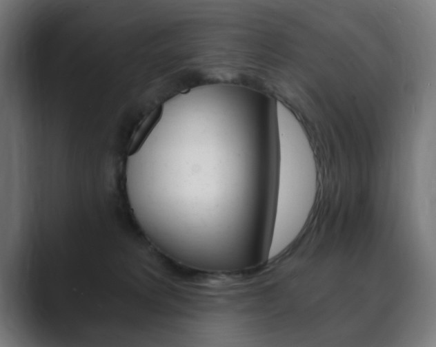 X0000089850229200706281027