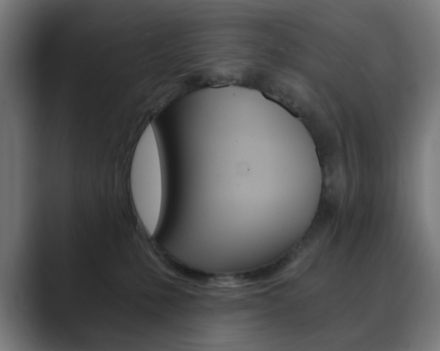 X0000089850231200706281027