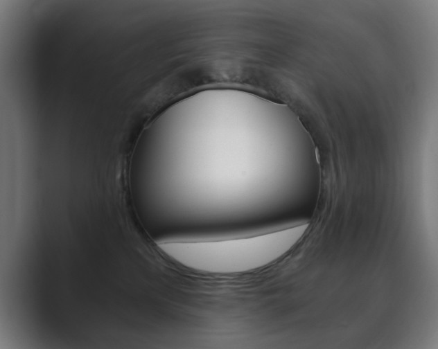 X0000089850233200706281027