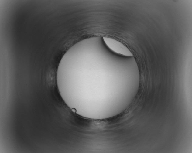 X0000089850234200706281027