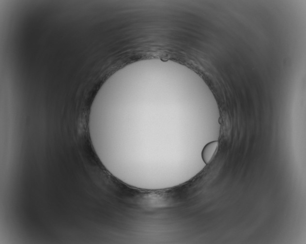 X0000089850236200706281027