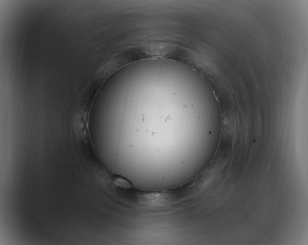 X0000089850237200706281027