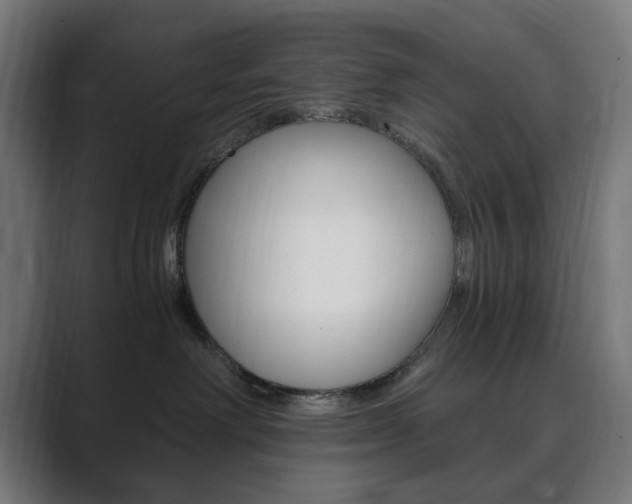 X0000089850238200706281027