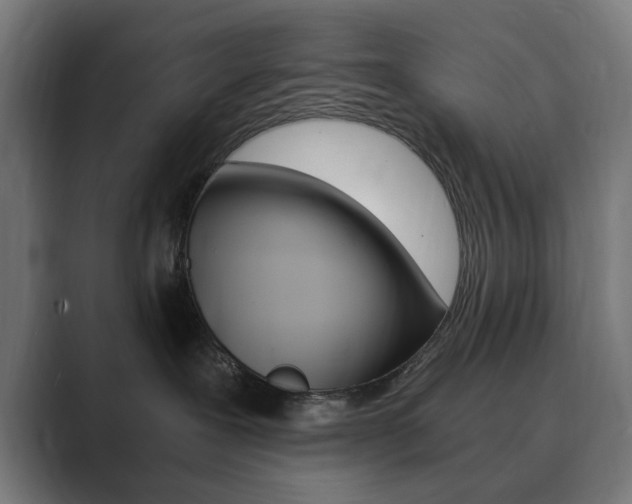 X0000089850239200706281027