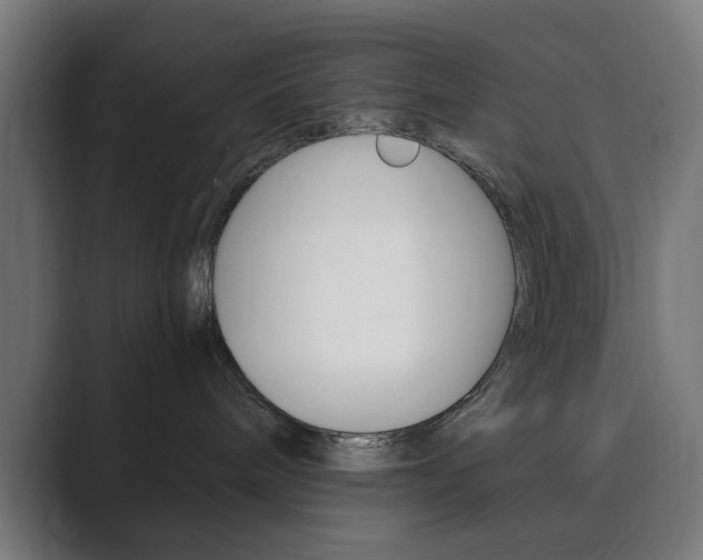 X0000089850240200706281027