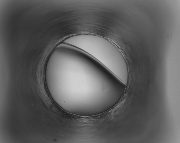 X0000089850241200706281026