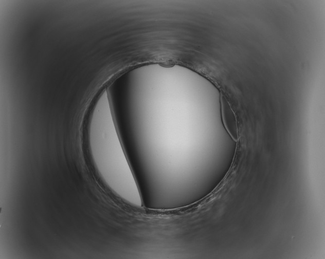 X0000089850242200706281026
