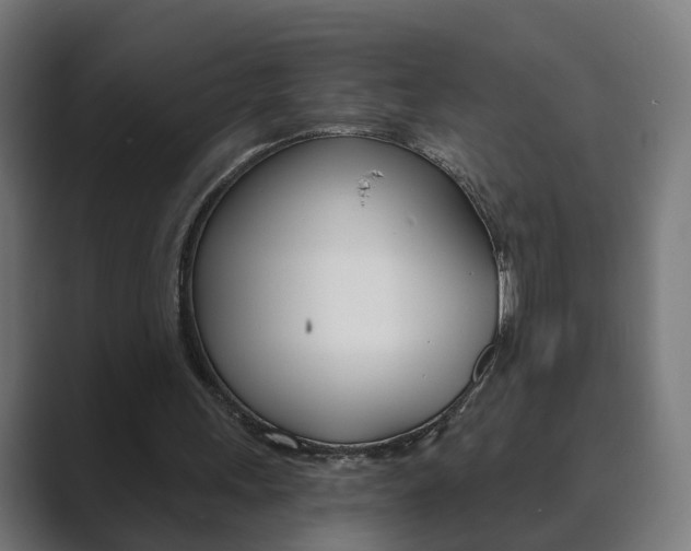 X0000089850243200706281026