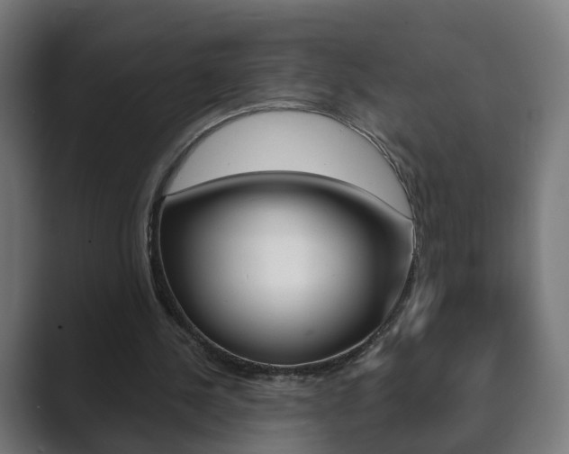 X0000089850244200706281026