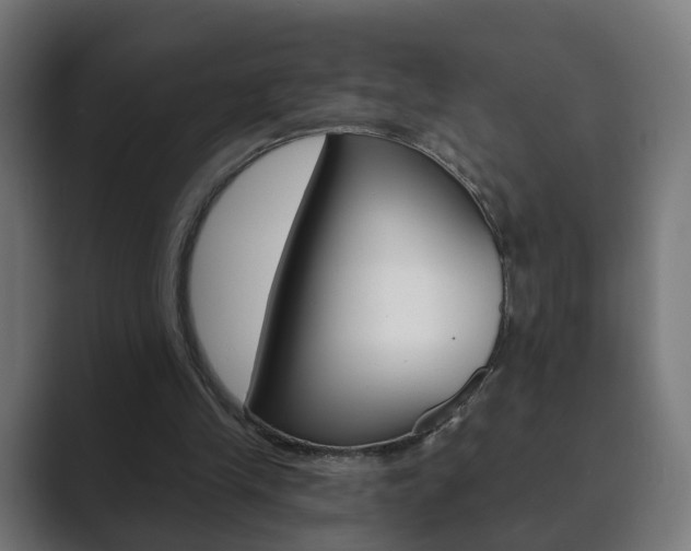 X0000089850245200706281026